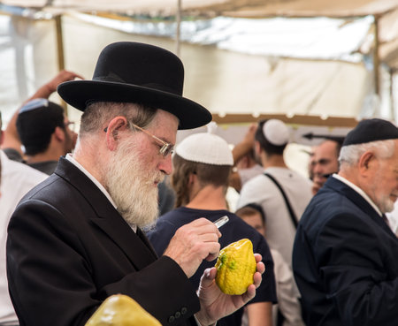JERUSALEM, ISRAEL - OKTOBER 16, 2016: Elderly ortodox Jew with white beard is checking with lupa ritual plant etrog - citrus. Traditional market before the holiday of Sukkotのeditorial素材