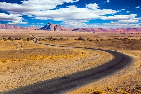 Antelope Oryx in Africa. The highway passes through the world's oldest Namib desert. The concept of exotic car tourismの写真素材