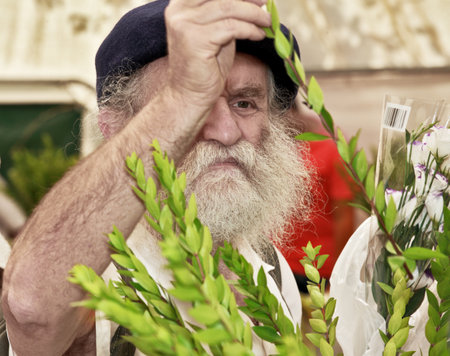 JERUSALEM, ISRAEL - SEPTEMBER 18, 2013: The gray-bearded religious Jew in a black beret carefully chooses ritual plant - myrtle for Sukkot.のeditorial素材