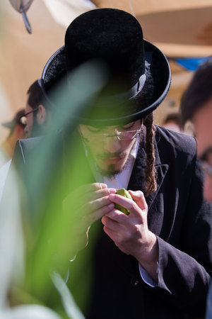 JERUSALEM, ISRAEL - OKTOBER 16, 2016: Traditional market before the holiday of Sukkot. Religious young Jew in a black hat and with side curls carefully checks the citrus - etrogのeditorial素材