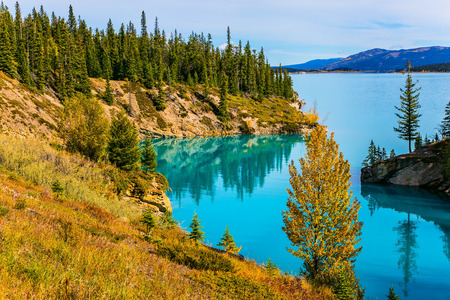 Abraham Lake is the most beautiful in the Rockies of Canada. Warm sunny day in autumn, Indian summer. The concept of ecological and active tourismの写真素材