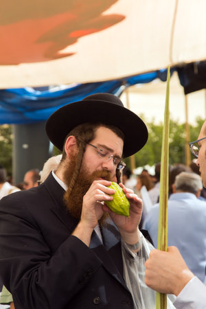JERUSALEM, ISRAEL - OKTOBER 16, 2016: Traditional market before the holiday of Sukkot. Religious Jew in a black hat chooses ritual  etrogのeditorial素材