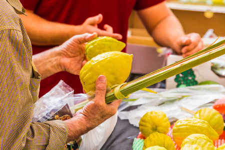 Customers choose citrus - etrog and lulav. Ancient Jewish autumn holiday Sukkot. Sale of ritual plants on the traditional pre-holiday market in the capital of Israel, Jerusalemの写真素材
