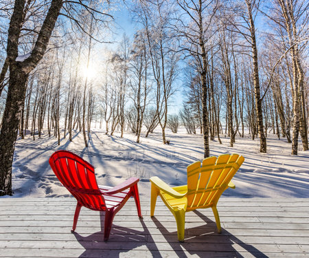 Comfortable red and yellow plastic chaise lounges for relaxing in forest.の写真素材