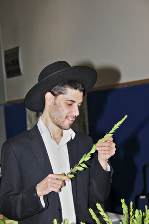 BNEY-BRAK, ISRAEL - SEPTEMBER 17, 2013: The young man in  black hat with brim carefully considering the branch of myrtle. The traditional holiday bazaar before Sukkotのeditorial素材