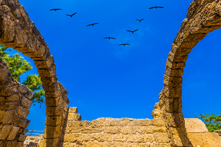 Excursion to the Archaeological Park of the Roman Empire. Ruins of ancient Caesarea. In the blue sky flies a flock of migratory birds. The concept of phototourismの写真素材