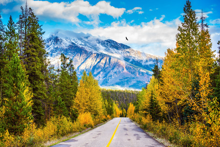 The road goes into the distance. Canadian Rockies in beautiful September day. Great Highway is among the mountains and forests yellowedの写真素材