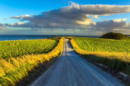 Magnificent highway in New Zealand amid fields. South Island. Concept of active and ecological...