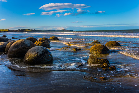 Ocean evening tide. Travel to New Zealand. The concept of active, eco and photo tourism. Boulders Moeraki -  large spherical boulders on the beach Koekokheの写真素材
