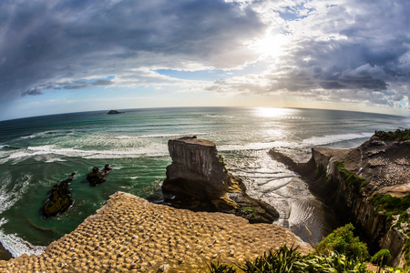 Stunning sunset in the Pacific Ocean. Beautiful coast of the North Island of New Zealand. Nesting colony of seabird gannets. Concept of active and ecological tourismの写真素材