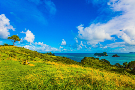 Cumulus clouds in the blue sky over the ocean. Sunset. New Zealand, North Island. The concept of active and phototourismの写真素材