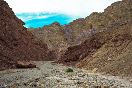 Gorgeous warm day in January. Mountains of Eilat, Israel. The road to the "Pillars of Amram"の写真素材