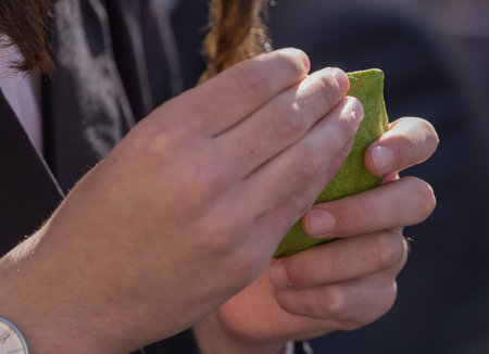 The buyer chooses the citrus - etrog. Ancient Jewish autumn holiday Sukkot. Sale of ritual plants on...