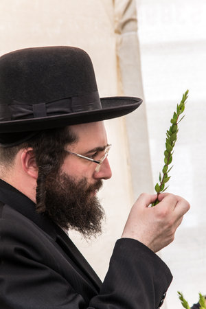 JERUSALEM, ISRAEL - OKTOBER 16, 2016: Traditional market before the holiday of Sukkot. Religious Jew in a black hat chooses ritual plant myrtleのeditorial素材
