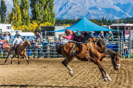CITY OF WANAKA, SOUTH ISLAND, NEW ZEALAND - MARCH 10, 2018. Rodeo is the final of the national championship. Cowboy tries to keep on kicking horseのeditorial素材