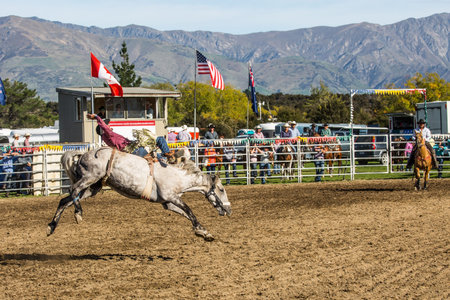 CITY OF WANAKA, SOUTH ISLAND, NEW ZEALAND - MARCH 10, 2018. Rodeo is the final of the national...