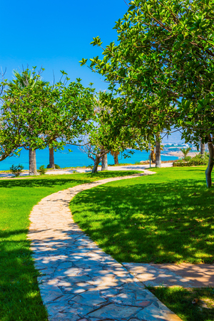 Popular seaside resort. Warm blue sea, tall slender palm trees, well-groomed green grass lawns and bright sun. The concept of a classic beach holidayの写真素材