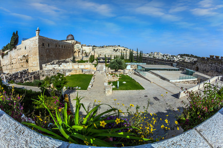  Magnificent flower garden. The walls of ancient Jerusalem near the Western Wailing Wall - Kotel. Black dome of Al-Aqsa mosque. The concept of historical, ethnographic and phototourismの写真素材