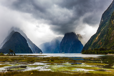Shallow, overgrown with marsh grass coast of the fjord. New Zealand - magic land of hobbits. Concept of exotic, active and photographic tourismの写真素材