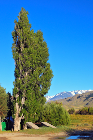 The solitary Estancia in the national park Perito Moreno in Argentina.の写真素材