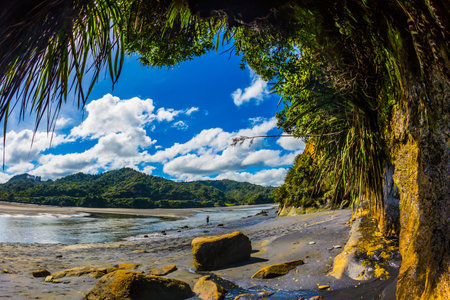 The concept of ecological, active and phototourism. North Island, New Zealand. The Pacific coast....