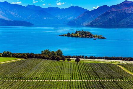 New Zealand, South Island. Picturesque vineyard descends down to the water. Adorable little island in the Lake Wanaka. The concept of ecological and photo tourism. Greeting postcardの写真素材