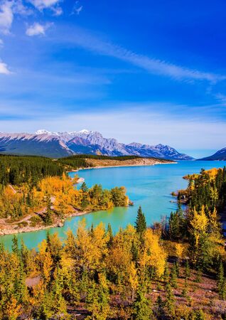 Mountain valley in the Rocky Mountains of Canada. Picturesque shores of artificial Abraham Lake. Golden Autumn in the birch and aspen groves.  Concept of active, ecological and photo tourismの写真素材