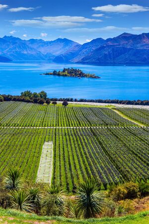 New Zealand, South Island. Picturesque vineyard descends down the mountains to the water. Adorable little island in the middle of Lake Wanaka. The concept of active, ecological and photo tourismの写真素材
