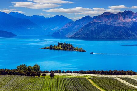 Greeting postcard. Picturesque vineyard descends down to the water. Adorable little island in the Lake Wanaka. New Zealand, South Island. The concept of ecological and photo tourismの写真素材