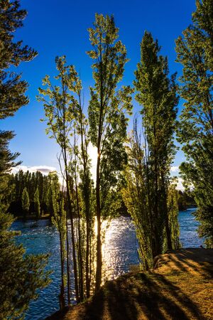 Sunset. The forest river with blue cold water feeding the lake Wanaka. South Island, New Zealand. Concept of active, ecological and photo tourismの写真素材