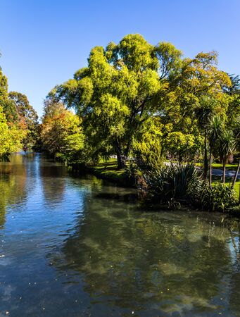 Rather river flows through the park. Indian summer in New Zealand. Travel to South Island. The concept of ecological and photo tourism. Christchurch Scenic Botanical Gardenの写真素材