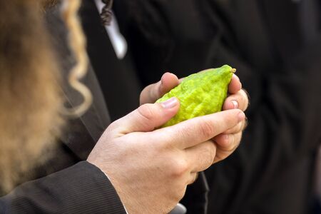 The annual pre-holiday bazaar in Jerusalem. Religious Jew with sidelocks chooses etrog for the holiday Sukkot. The concept of religious, ethnographic and photo tourismの写真素材