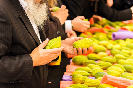 Religious Jew with a gray beard chooses etrog for the holiday Sukkot. The annual pre-holiday bazaar...