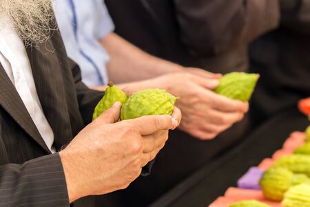 The annual holiday bazaar for the holiday Sukkot. Religious Jew with sidelocks chooses best ritual etrog. Jerusalem, Israel. The concept of religious, ethnographic and photo tourismの写真素材
