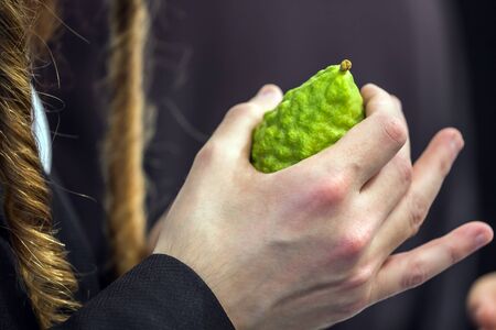 Religious Jew with sidelocks chooses etrog for the holiday Sukkot. Jewish autumn holiday Sukkot - Feast of Tabernacles. The concept of religious, ethnographic and photo tourismの写真素材