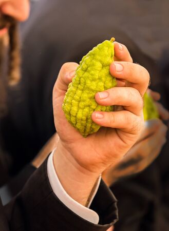 Religious Jew with sidelocks chooses etrog for the holiday Sukkot. The annual pre-holiday bazaar in Jerusalem. The concept of religious, ethnographic and photo tourismの写真素材