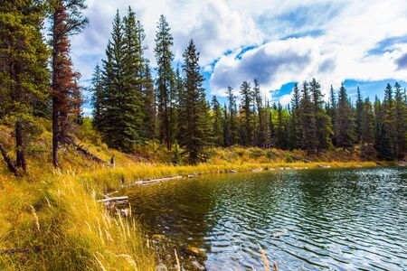 Rocky Mountains of Canada. Quiet shallow lake surrounded by forest and yellow dry autumn grass. The concept of ecological, active and photo tourismの写真素材