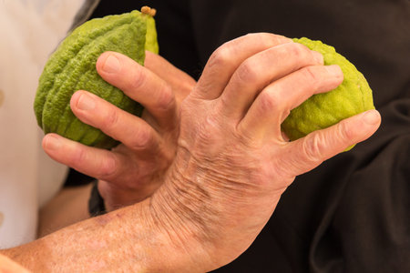 Religious Jew with sidelocks chooses best ritual etrog. Jerusalem, Israel. The annual holiday bazaar...