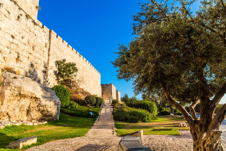 The fortress wall of old Jerusalem. Stone-paved footpath through green grass lawn. Hot summer sunset. The concept of historical, pilgrim and photo tourismのeditorial素材