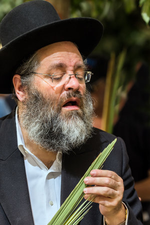 JERUSALEM, ISRAEL - SEPTEMBER 20, 2018: Religious Jew in a black hat and with a gray beard chooses a lulav. Sukkot Harvest holiday.  The concept of religious, ethnographic and photo tourismのeditorial素材