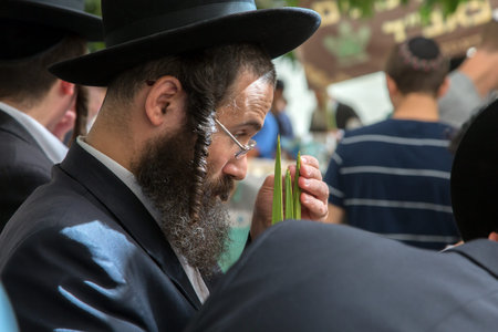 JERUSALEM, ISRAEL - OKTOBER 16, 2016: Religious Jew with black beard in a black hat chooses ritual plant palm. Traditional market before the holiday of Sukkotのeditorial素材