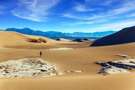 Light sand waves from the desert wind. Elderly woman with a camera and a tripod goes among the dunes. Mesquite Flat Sand Dunes, Death Valley, California. Concept of active and photo tourismの写真素材