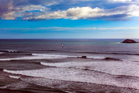 Muriway Beach is a black sand beach. The west coast of the North Island of New Zealand. The magnificent nature of the Southern hemisphere. The concept of active, environmental and photo tourismの写真素材