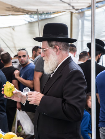 JERUSALEM, ISRAEL - OKTOBER 16, 2016: Traditional market before the holiday of Sukkot. Elderly ortodox Jew with white beard is checking with lupa ritual plant etrog - citrusのeditorial素材