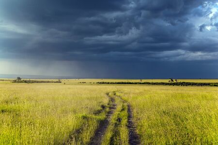 The vast expanses of the Horn of Africa. Storm clouds over a grassy savannah. The famous Masai Mara Reserve in Kenya. The concept of ecological, exotic, extreme and photo tourismの写真素材