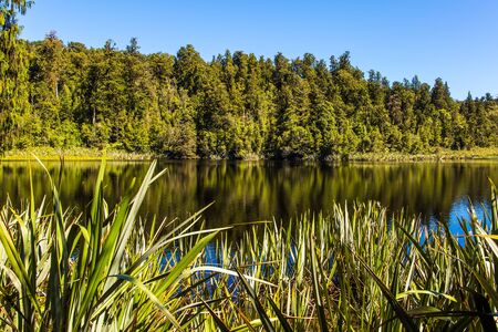The mirror surface of the water reflects the trees and grass. Glacial Lake Matheson is surrounded by forests. Travel to New Zealand. The concept of ecological, active and photo tourismの写真素材