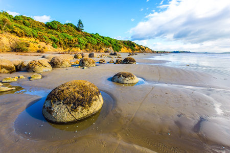 The South Island of New Zealand. Sandy beach on the Pacific Ocean. Moeraki boulders is a group of huge stones and their remains. The concept of exotic and ecological tourismの写真素材