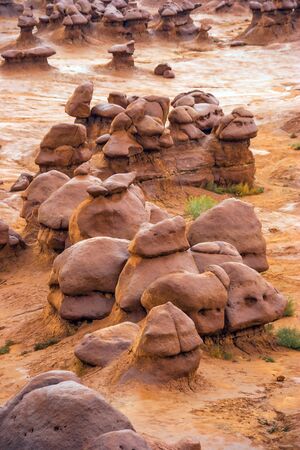  Many funny figures of red-brown sandstone. Goblin Valley is a scenic Utah state park, USA. Hoodoo - high thin geological formations. The concept of active, informative, ecological and photo tourismの写真素材