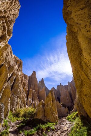 Colossal clay peaked outliers - Clay Cliffs in the hills separated by narrow ravines. New Zealand. Sunset. The concept of exotic, extreme, natural and photo tourismの写真素材
