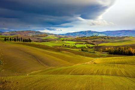 Picturesque hills of the legendary Tuscany. Agritourism. Rural farms. Smooth rows of plowed fields...